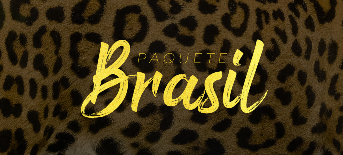 imagem de PAQUETE LUJO - MANAUS/FOZ